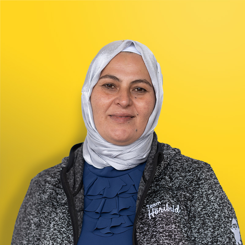 Hazemi web